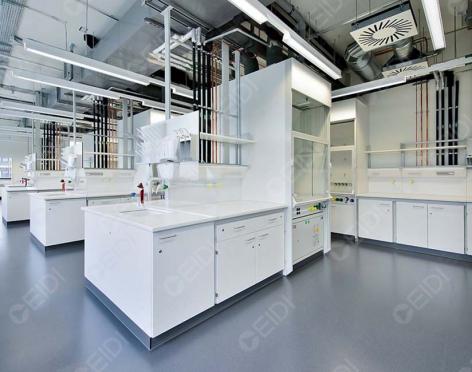 分子生物與蛋白純化實(shí)驗(yàn)室潔凈場所設(shè)計   CEIDI西遞