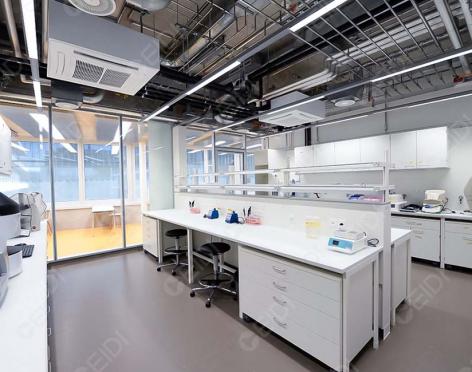 分子生物與蛋白純化實(shí)驗(yàn)室潔凈場所設(shè)計   CEIDI西遞